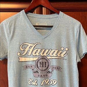 Hawaii Graphic V-Neck Short Sleeve Tee - Blue